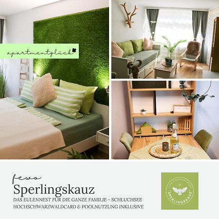 Fewo Sperlingskauz Mit Pool, Sauna & Hochschwarzwaldcard 施卢赫湖 外观 照片