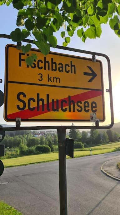 Fewo Sperlingskauz Mit Pool, Sauna & Hochschwarzwaldcard 施卢赫湖 外观 照片