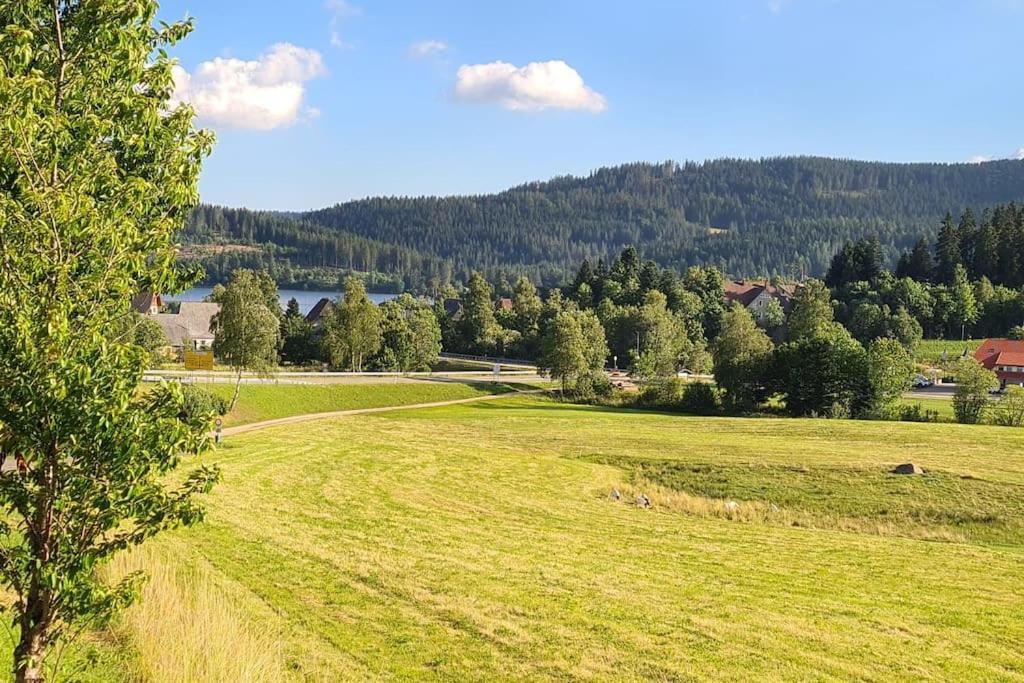 Fewo Sperlingskauz Mit Pool, Sauna & Hochschwarzwaldcard 施卢赫湖 外观 照片