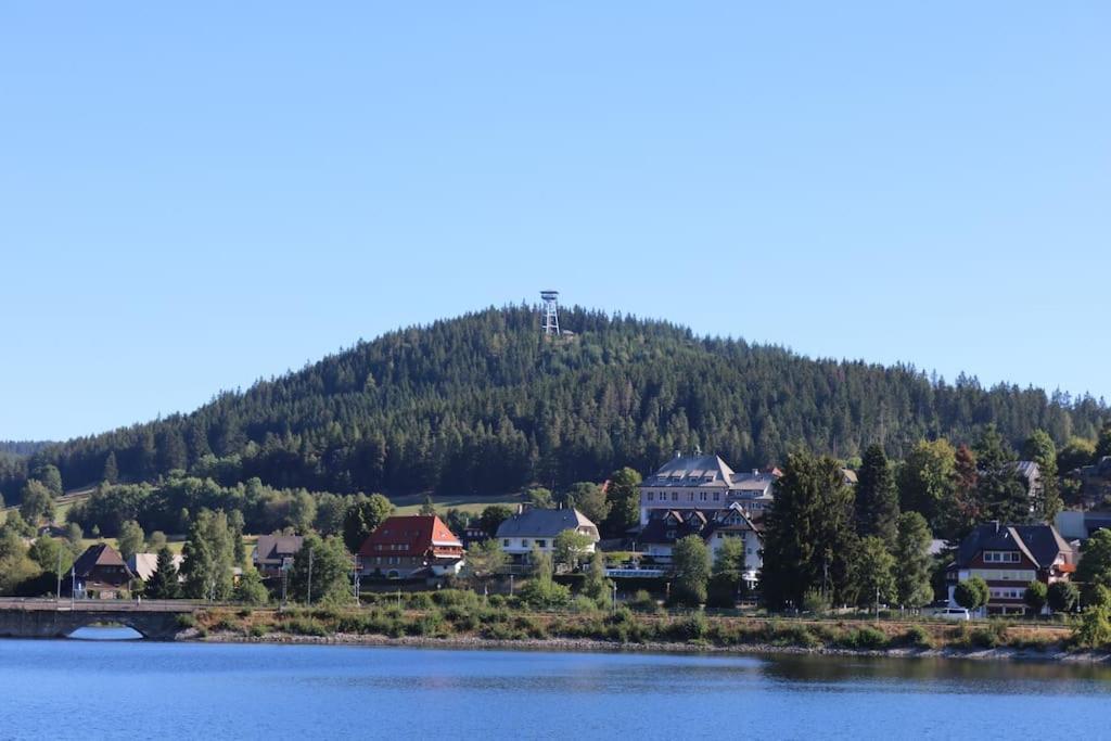 Fewo Sperlingskauz Mit Pool, Sauna & Hochschwarzwaldcard 施卢赫湖 外观 照片