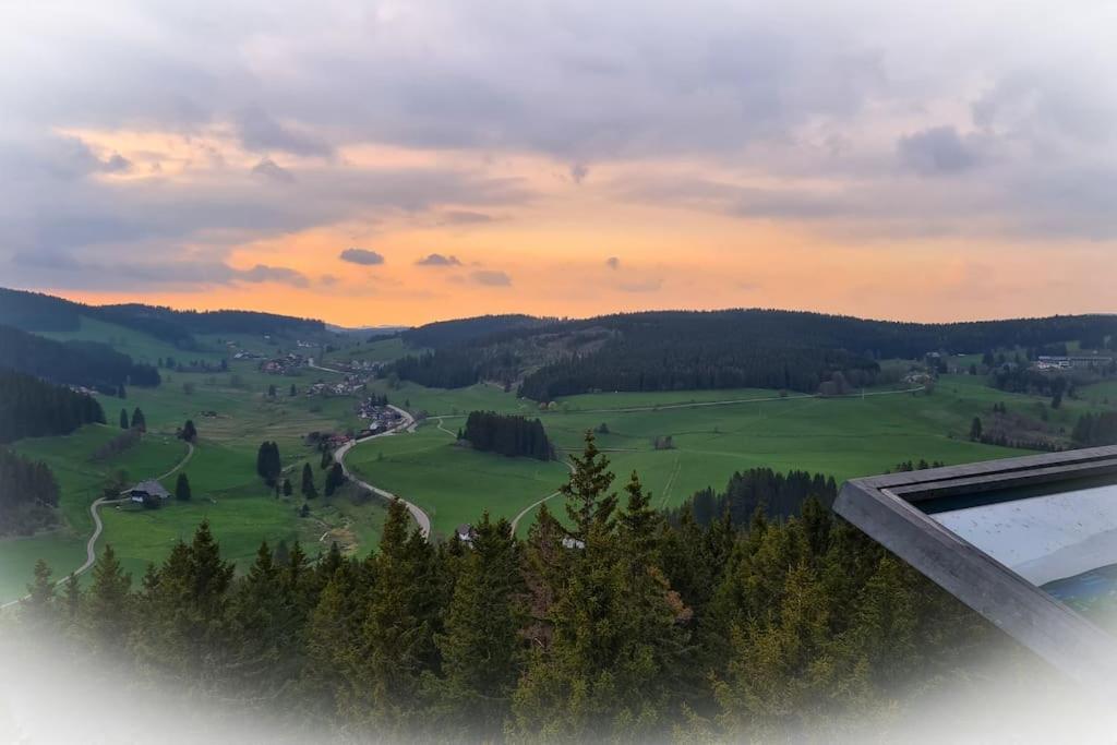 Fewo Sperlingskauz Mit Pool, Sauna & Hochschwarzwaldcard 施卢赫湖 外观 照片