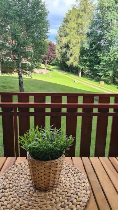 Fewo Sperlingskauz Mit Pool, Sauna & Hochschwarzwaldcard 施卢赫湖 外观 照片